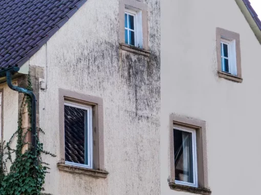 Nettoyage Façade Genève Nettoyage Façade Genève