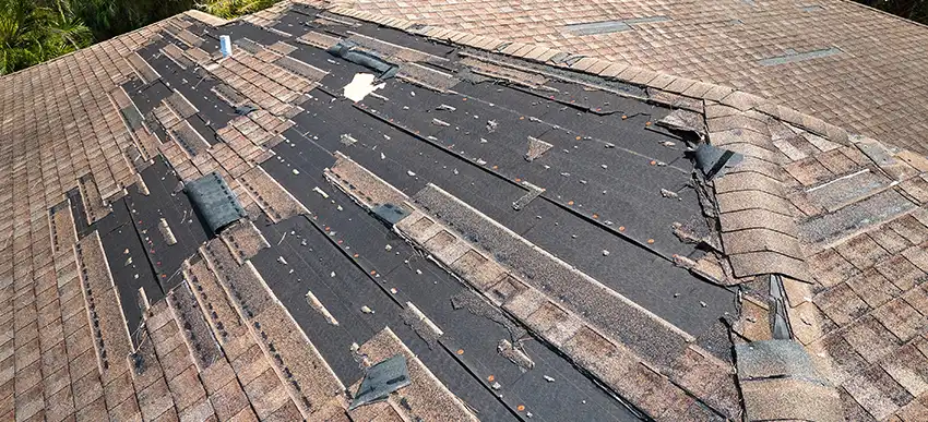 Dégâts toiture après tempête à Genève – Que faire ? Qui contacter ?