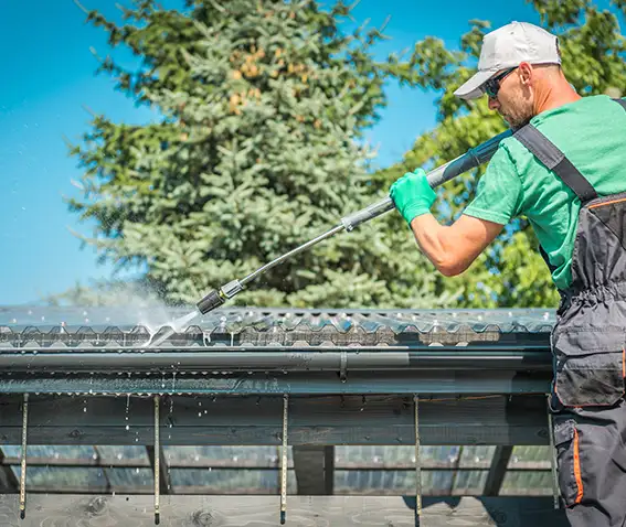 Nettoyage démoussage toiture Meyrin