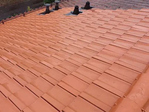 Traitement toiture genève Traitement toiture genève