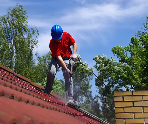 Nettoyage démoussage toiture Carouge