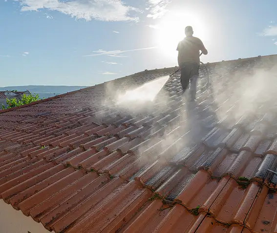 Nettoyage démoussage toiture Versoix